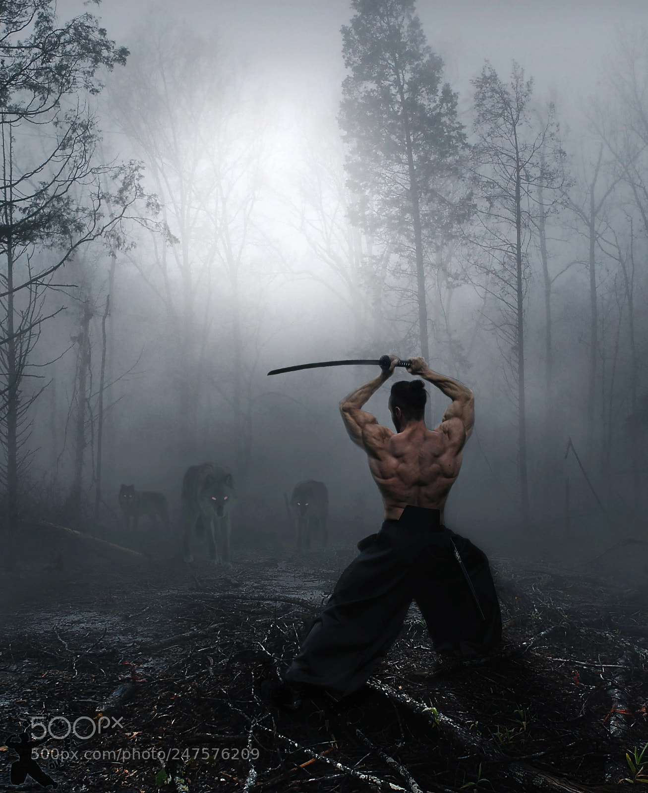 Nikon D80 sample photo. Warrior to the end photography
