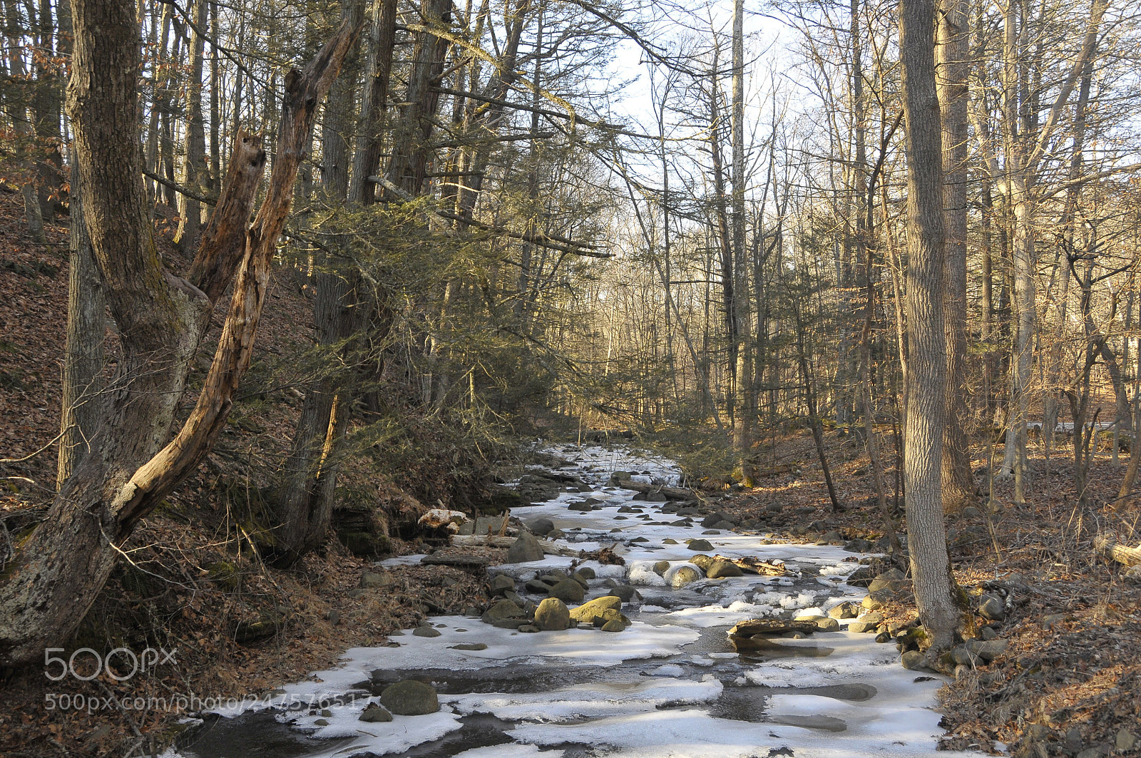 Nikon D300 sample photo. Frozen stream in winter photography