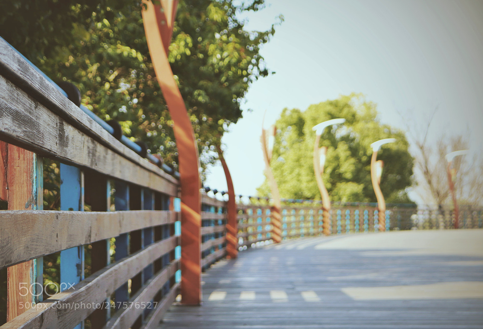 Canon EOS 800D (EOS Rebel T7i / EOS Kiss X9i) sample photo. Untitled photography