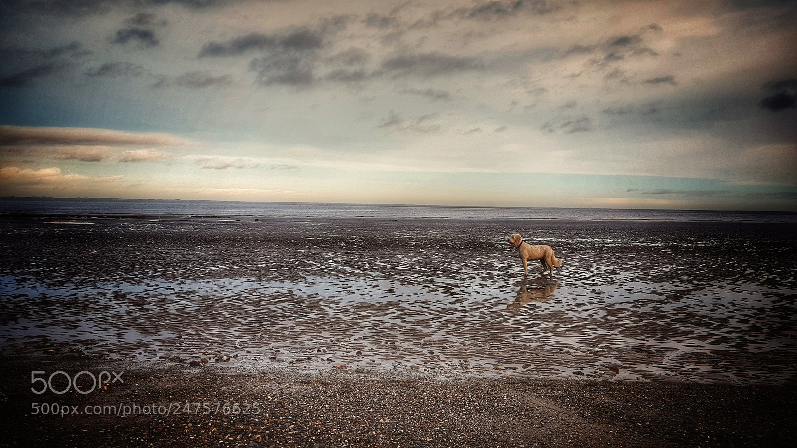 Samsung Galaxy S8+ sample photo. Cleethorpes beach photography