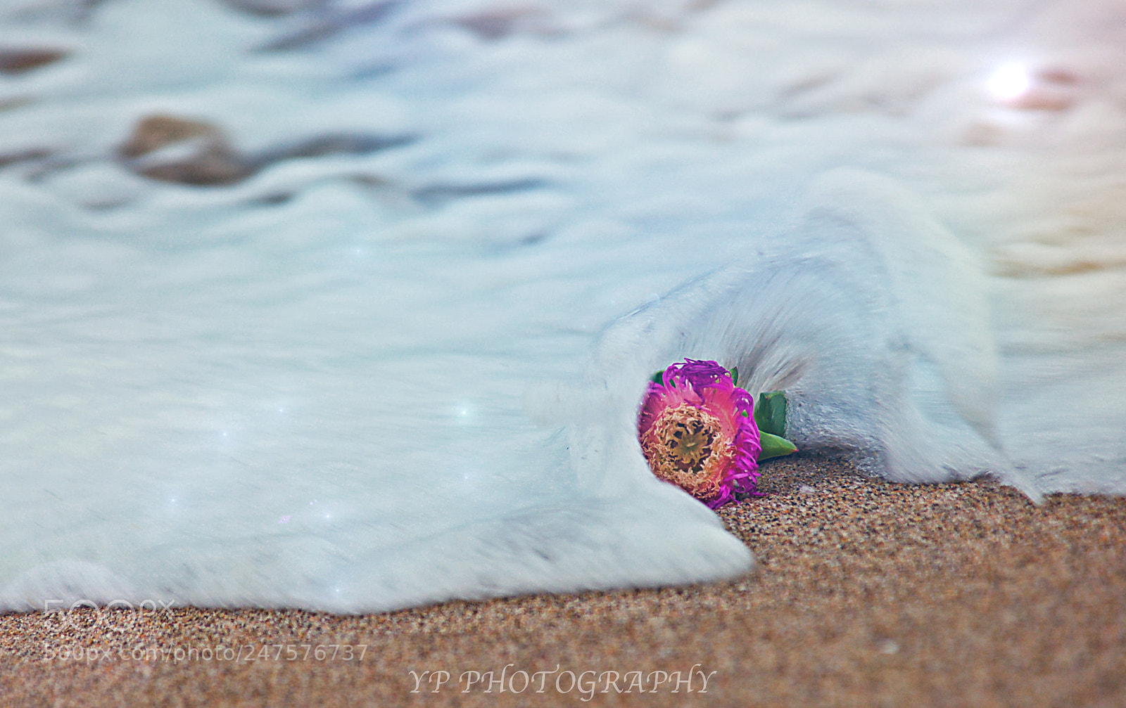 Nikon D200 sample photo. Untitled photography