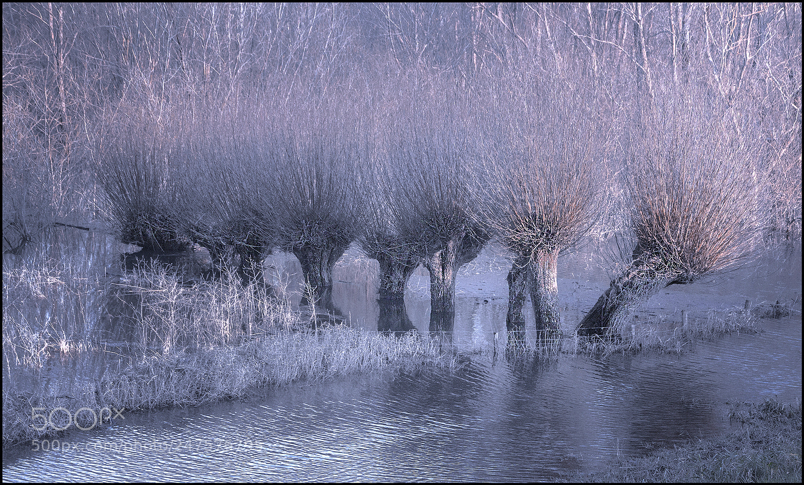 Canon EOS 700D (EOS Rebel T5i / EOS Kiss X7i) sample photo. Dutch cold today photography