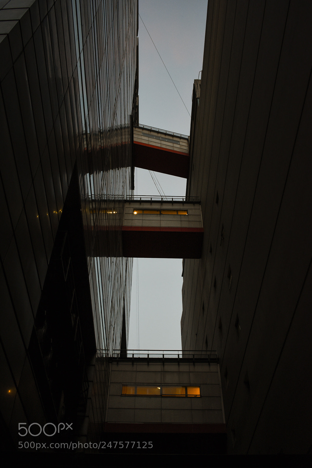 Nikon D3400 sample photo. Conection photography