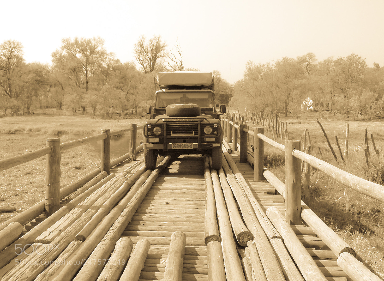 Panasonic Lumix DMC-FZ100 sample photo. African bridge photography