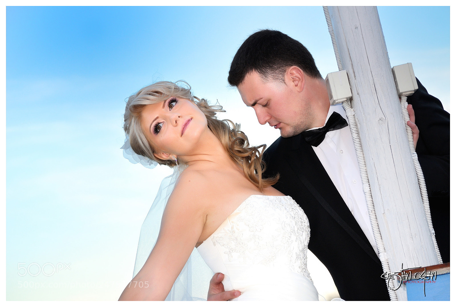 Nikon D90 sample photo. 105.jpg photography
