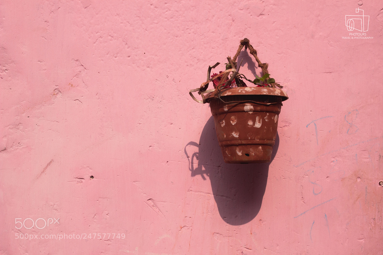 Canon EOS 600D (Rebel EOS T3i / EOS Kiss X5) sample photo. Plant hanging from wall photography