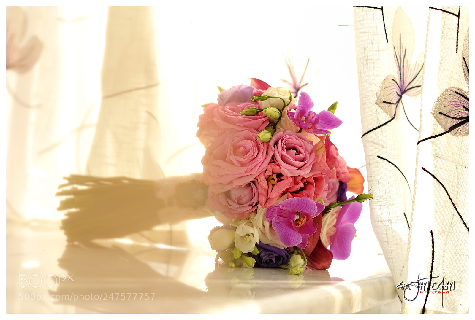 Nikon D700 sample photo. 460.jpg photography