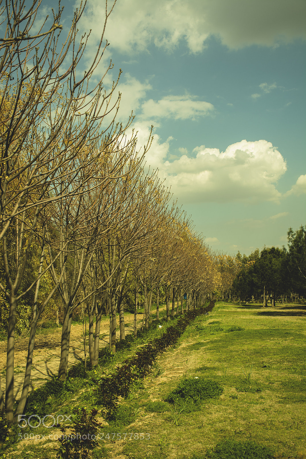 Nikon D7100 sample photo. Kurdistan nature photography