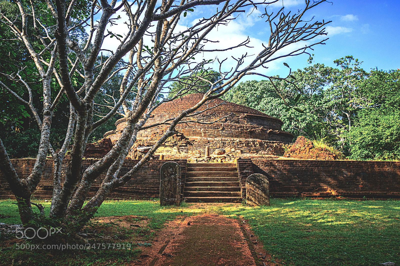 Canon EOS 600D (Rebel EOS T3i / EOS Kiss X5) sample photo. The forgotten temple, sri photography