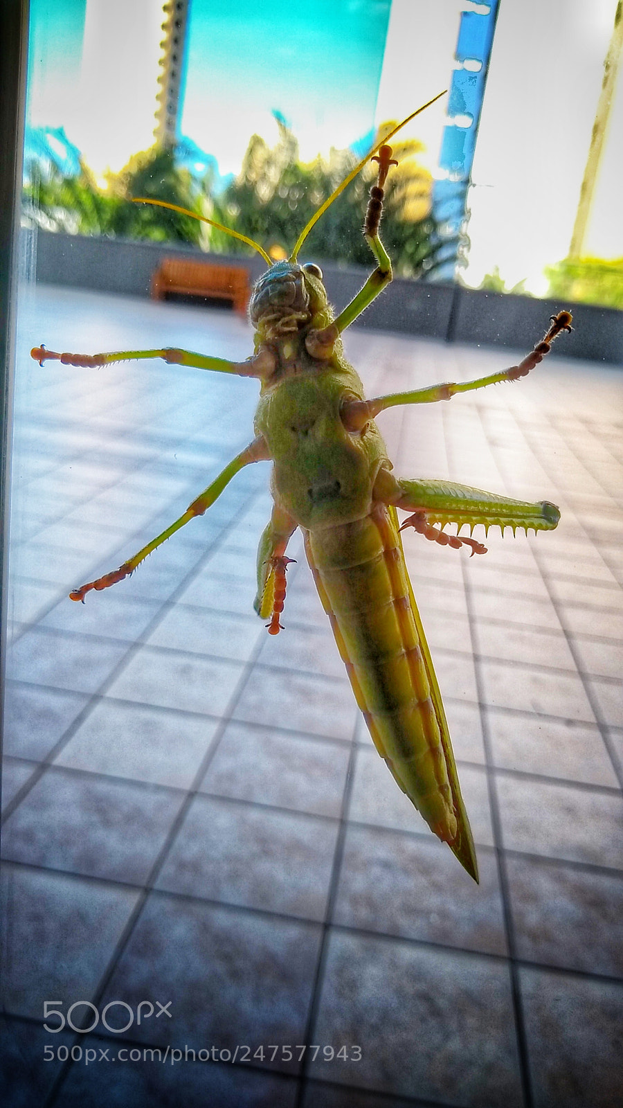 Motorola Moto G (5S) sample photo. Untitled photography
