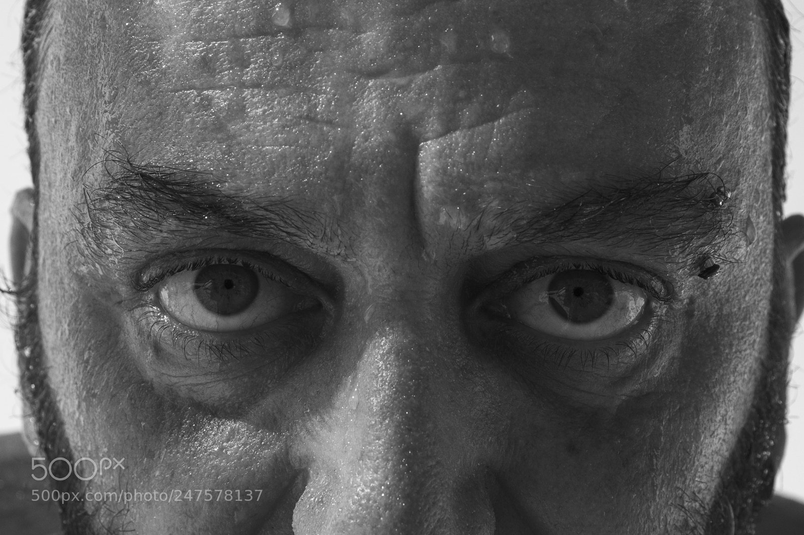 Nikon D7200 sample photo. Ilias eyes photography