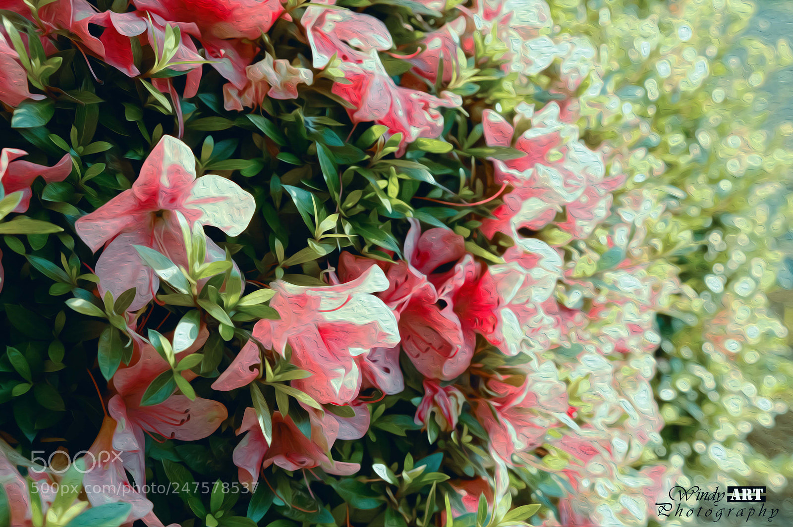 Fujifilm X-T20 sample photo. Flower art photography