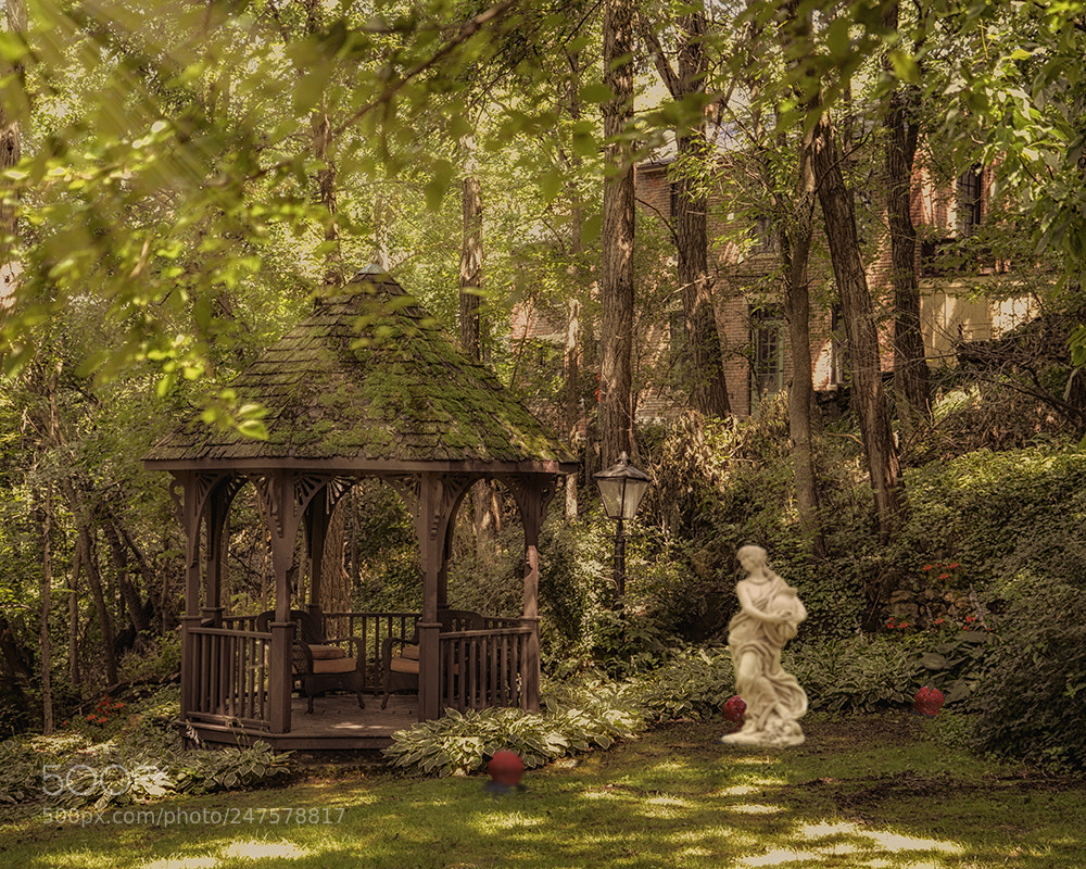 Nikon D600 sample photo. Summer garden photography