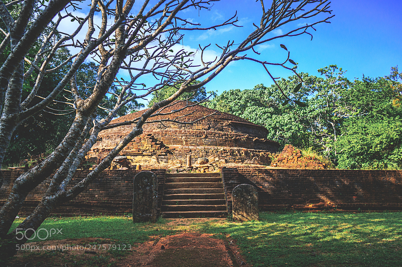 Canon EOS 600D (Rebel EOS T3i / EOS Kiss X5) sample photo. The forgotten temple, sri photography