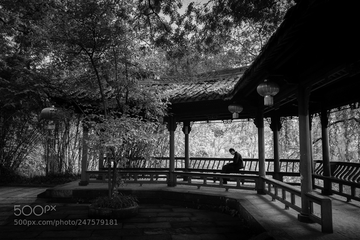 Fujifilm X-T1 sample photo. Reading monk. photography