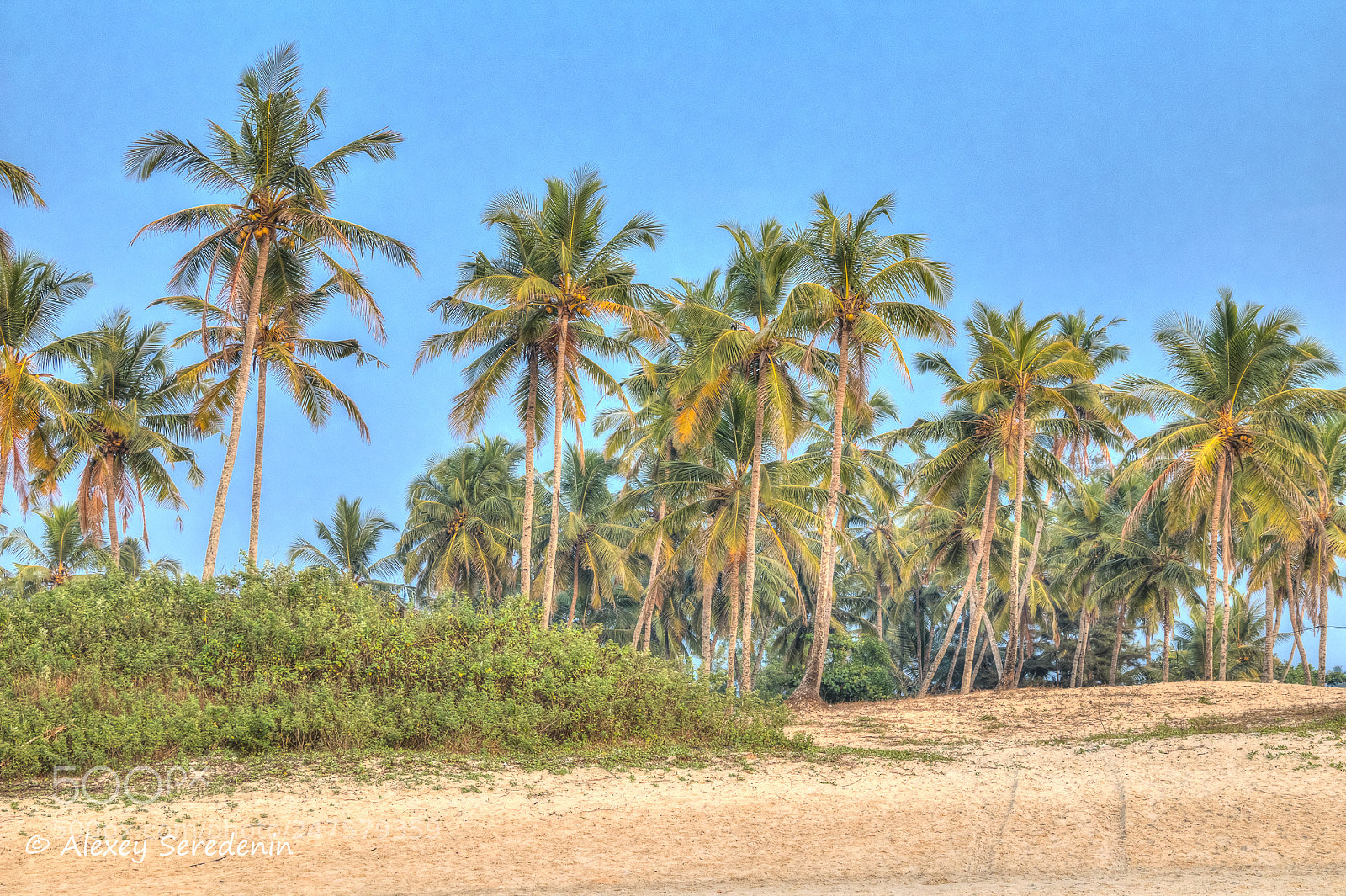 Canon EOS 80D sample photo. The shore of the photography