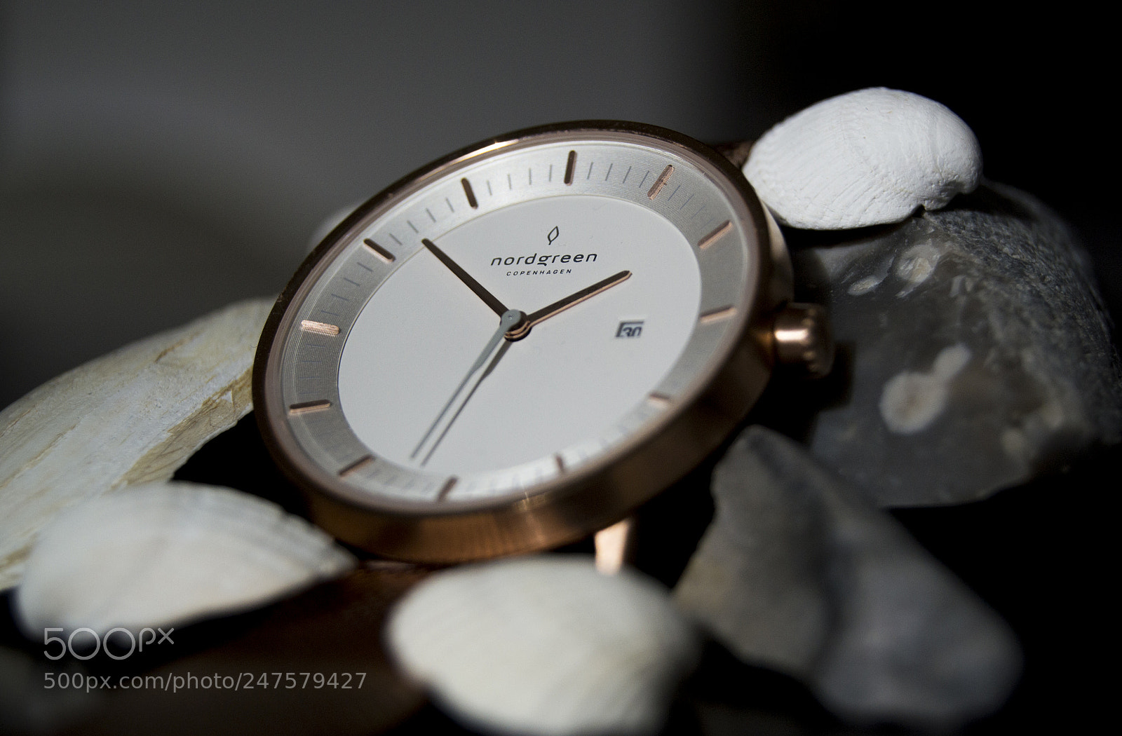 Nikon D3100 sample photo. Nordphi2 photography