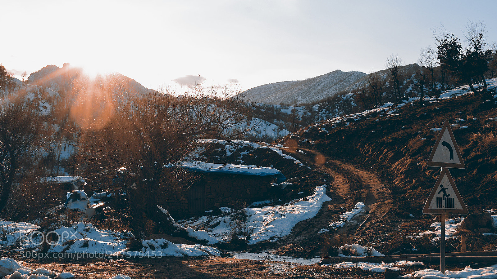 Nikon D7100 sample photo. Sunny day in winter photography