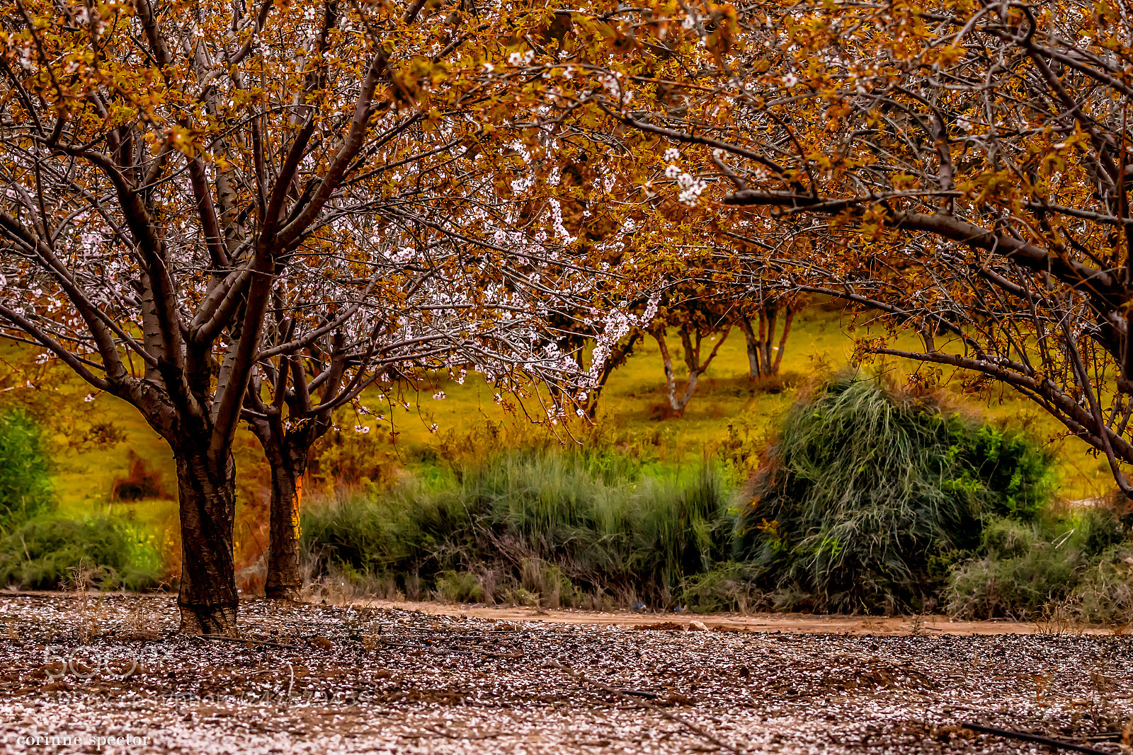 Canon EOS 7D sample photo. Edit facebook small photography