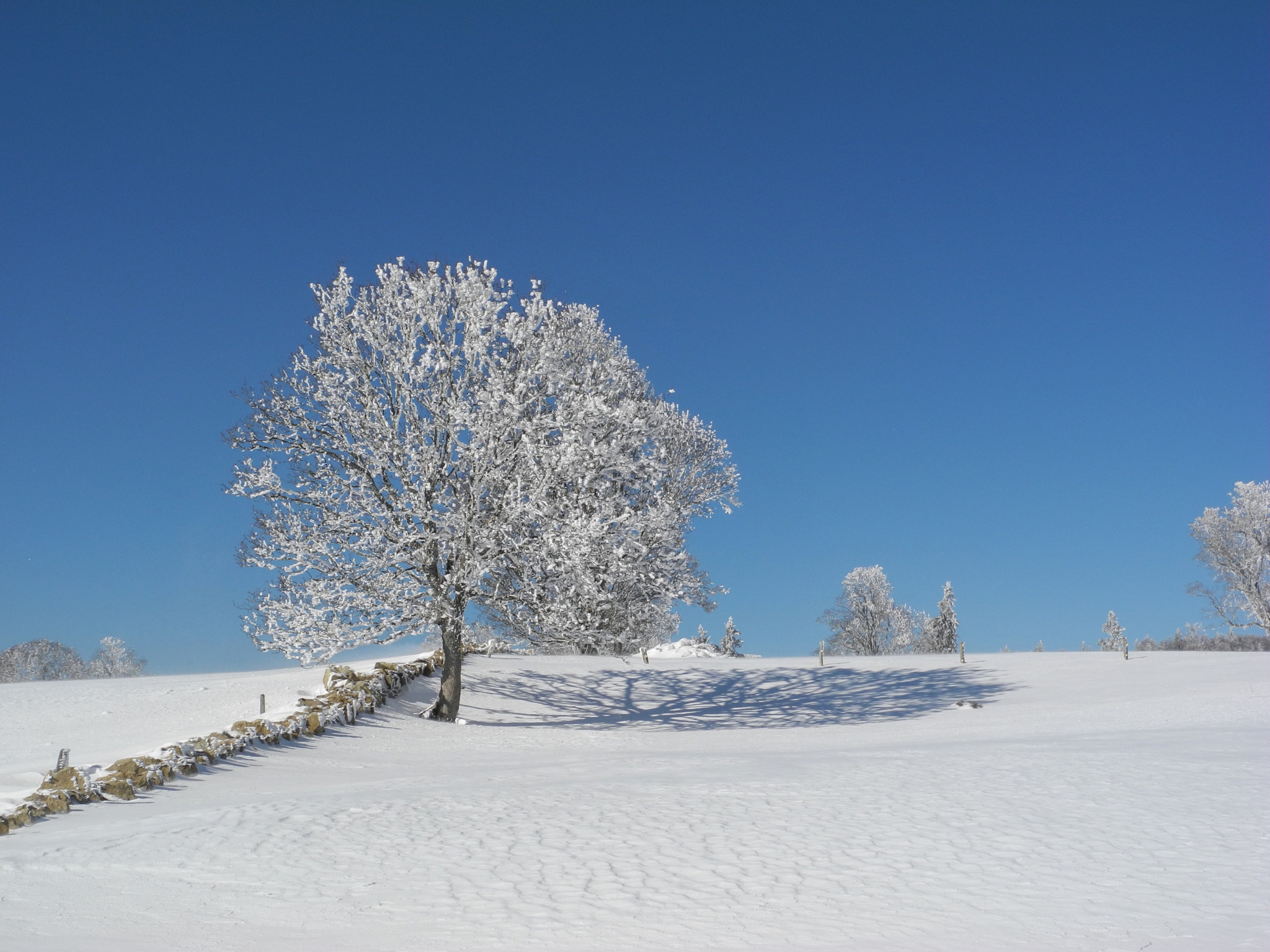 Nikon Coolpix P7100 sample photo. Winter landscape photography