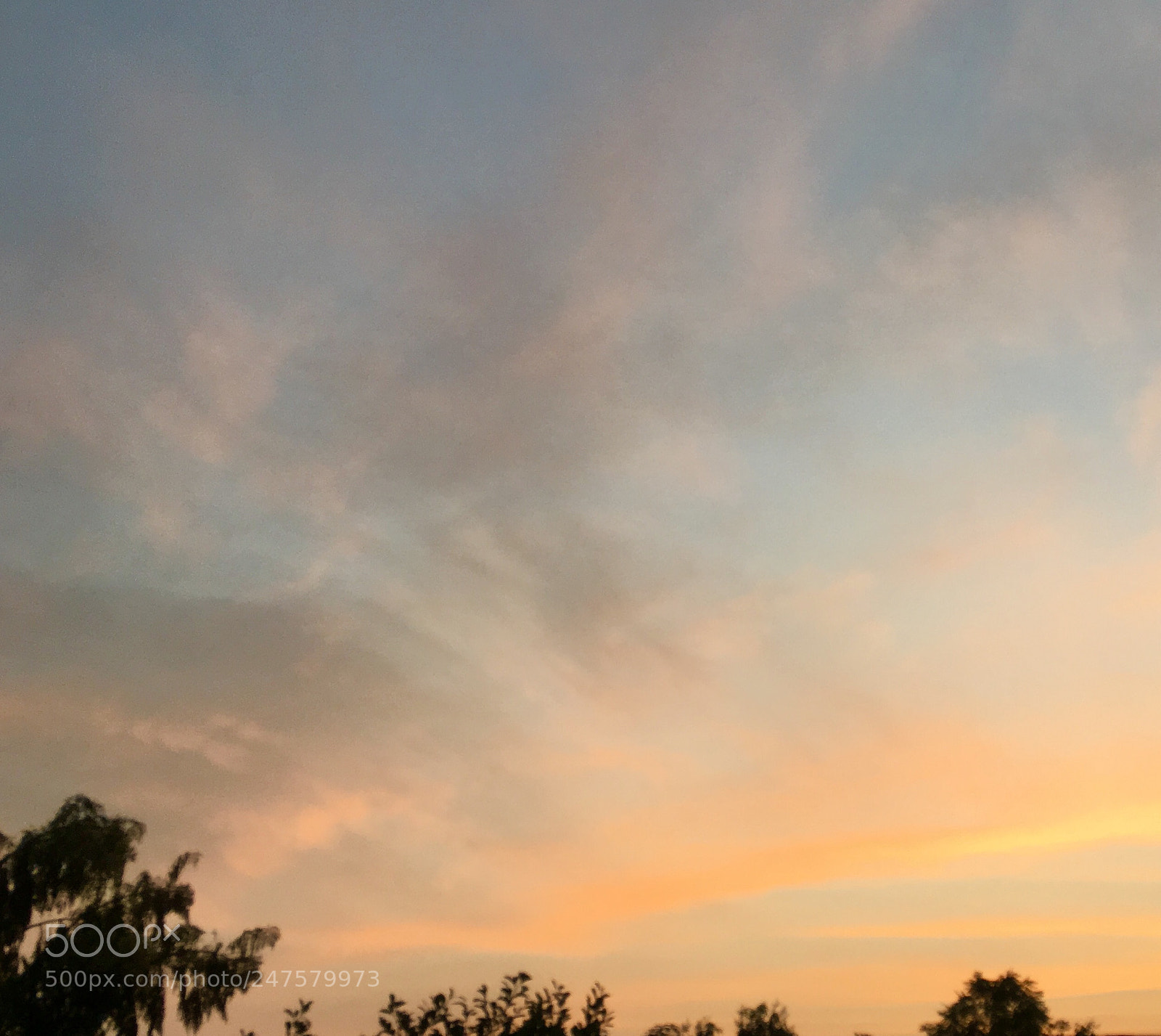 Apple iPhone 6s Plus sample photo. Colors at play in photography