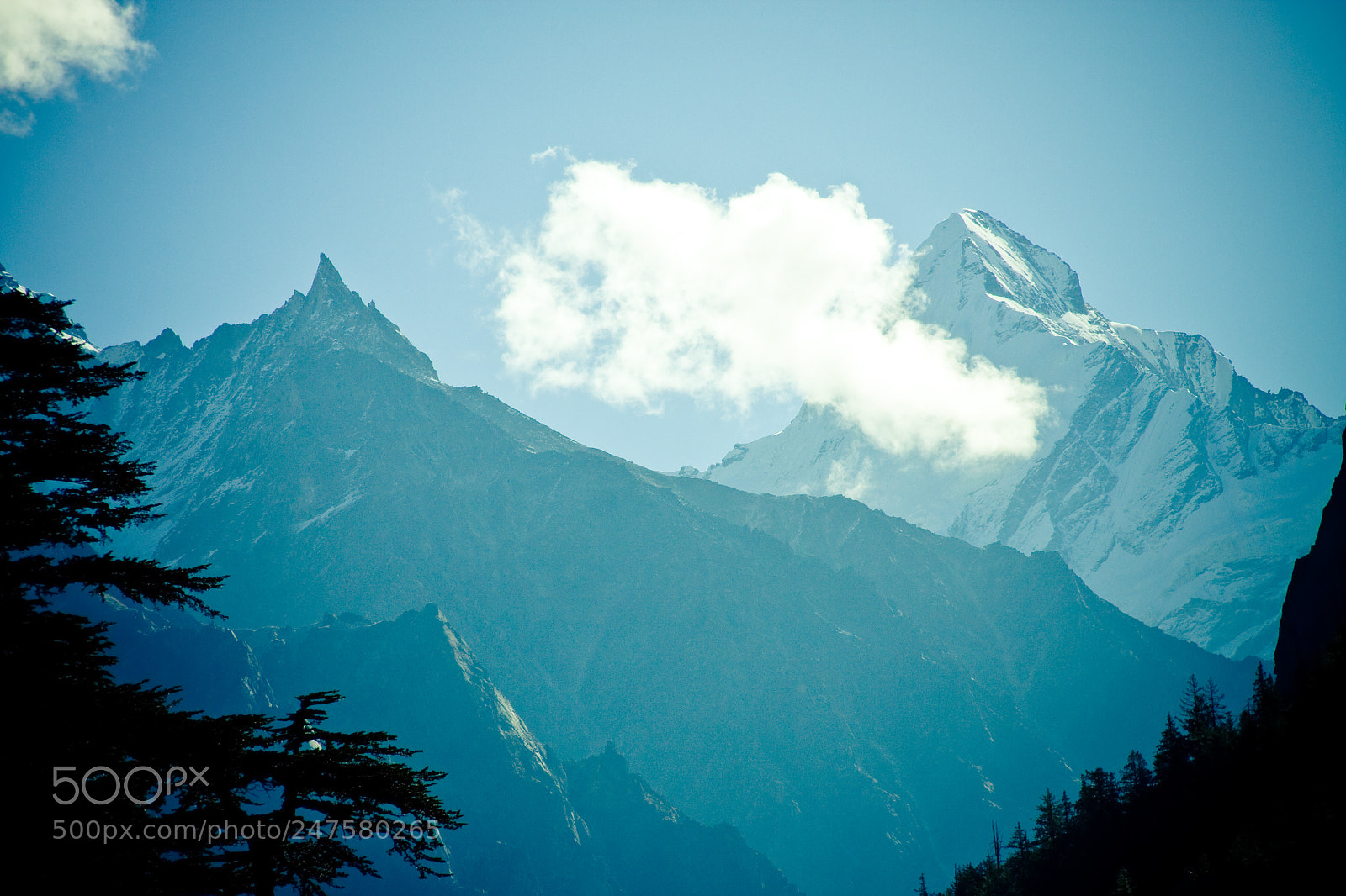 Canon EOS 40D sample photo. Forest in mountains valley photography