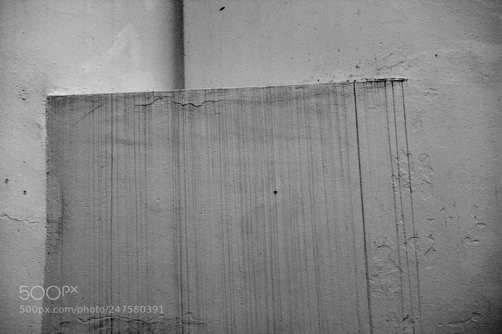 Nikon D5200 sample photo. Concrete beauty photography