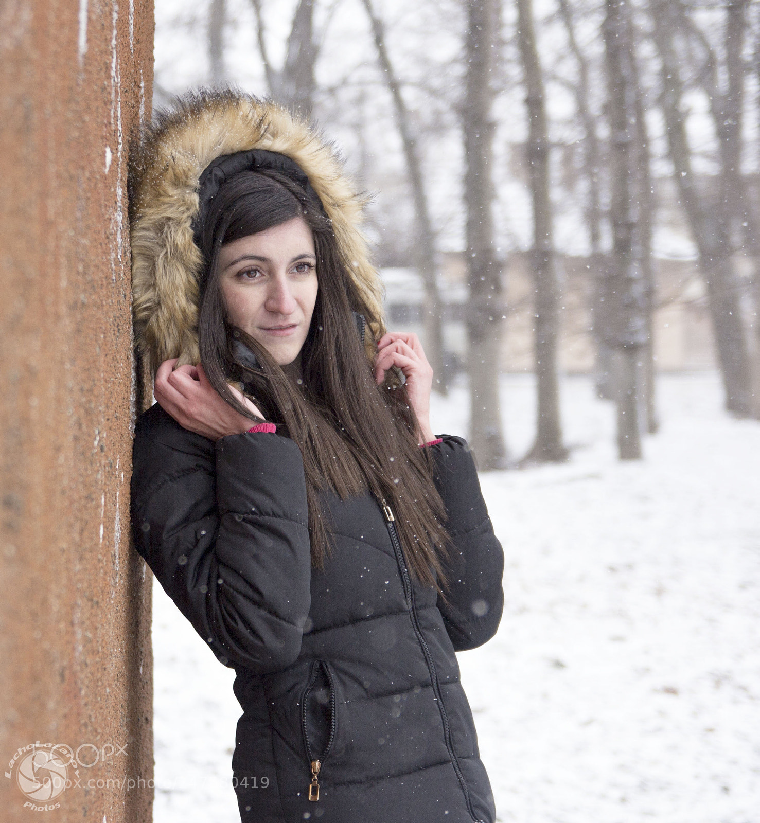 Canon EOS 60D sample photo. Winter photography