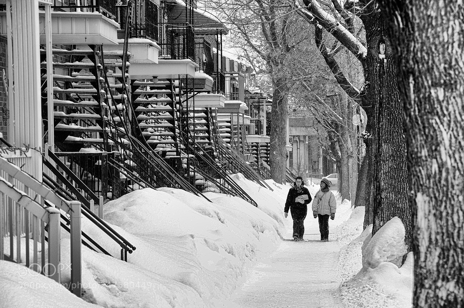 Nikon D300 sample photo. Snow stories photography