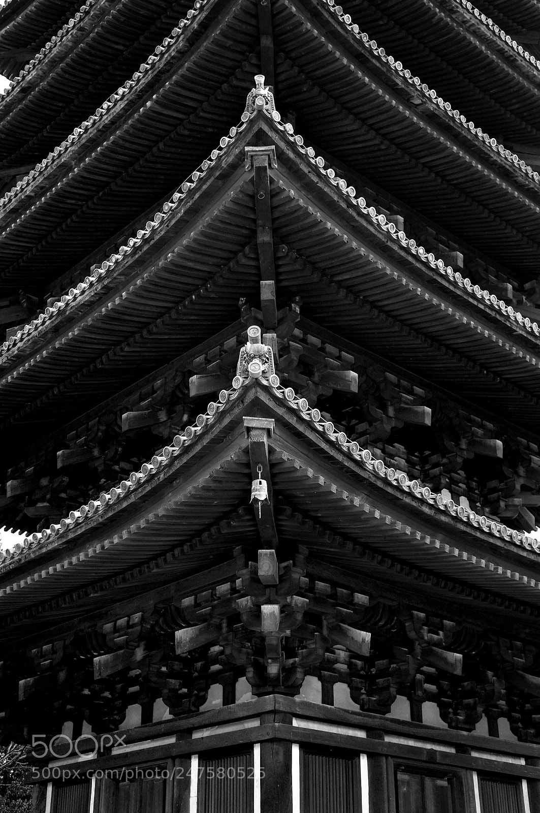 Sony Alpha NEX-6 sample photo. In nara photography