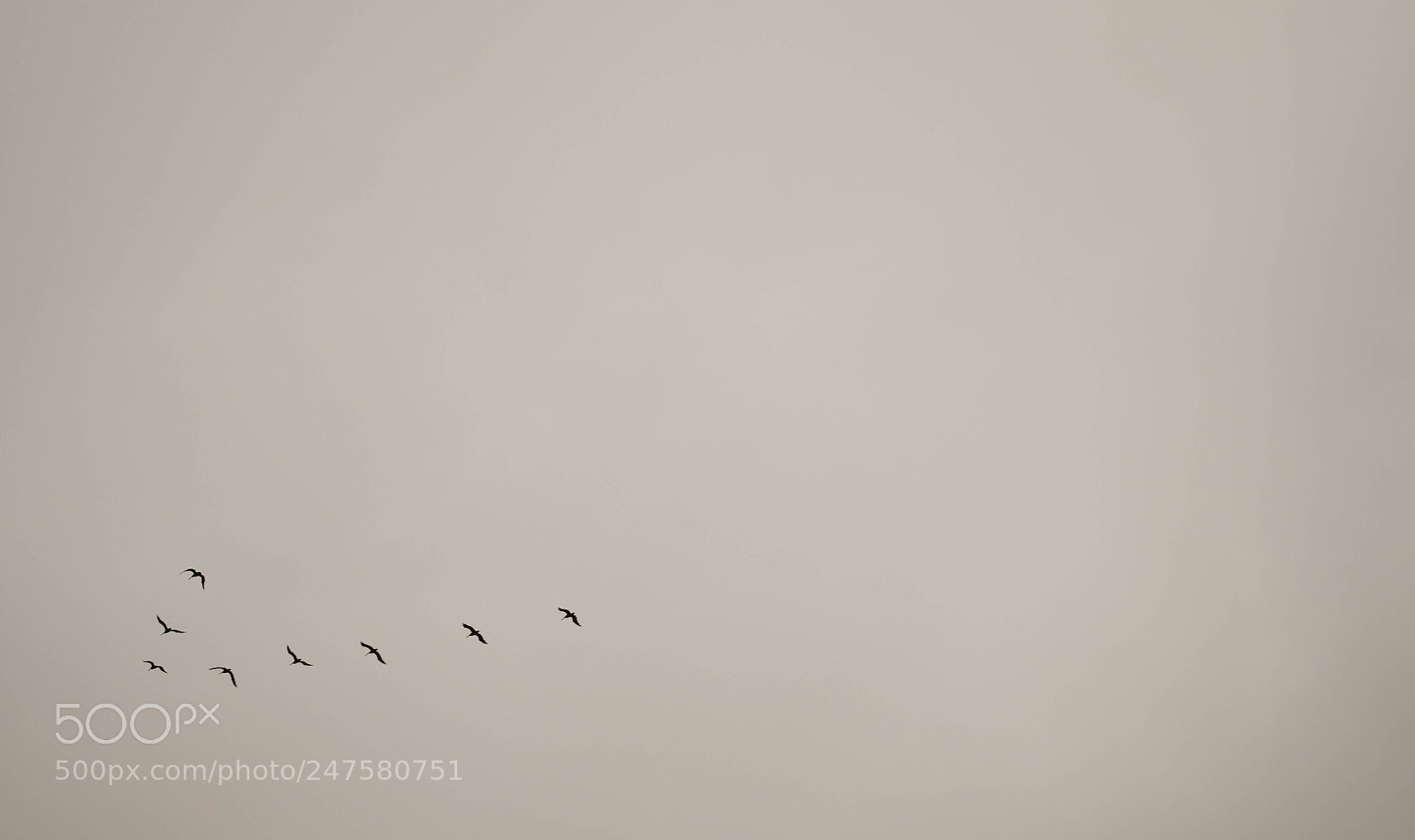 Fujifilm X-T10 sample photo. Untitled photography