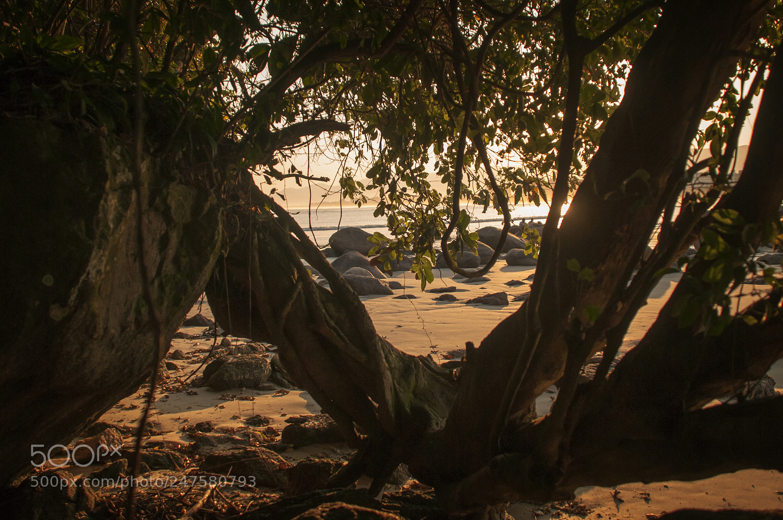 Nikon D300 sample photo. Riviera photography