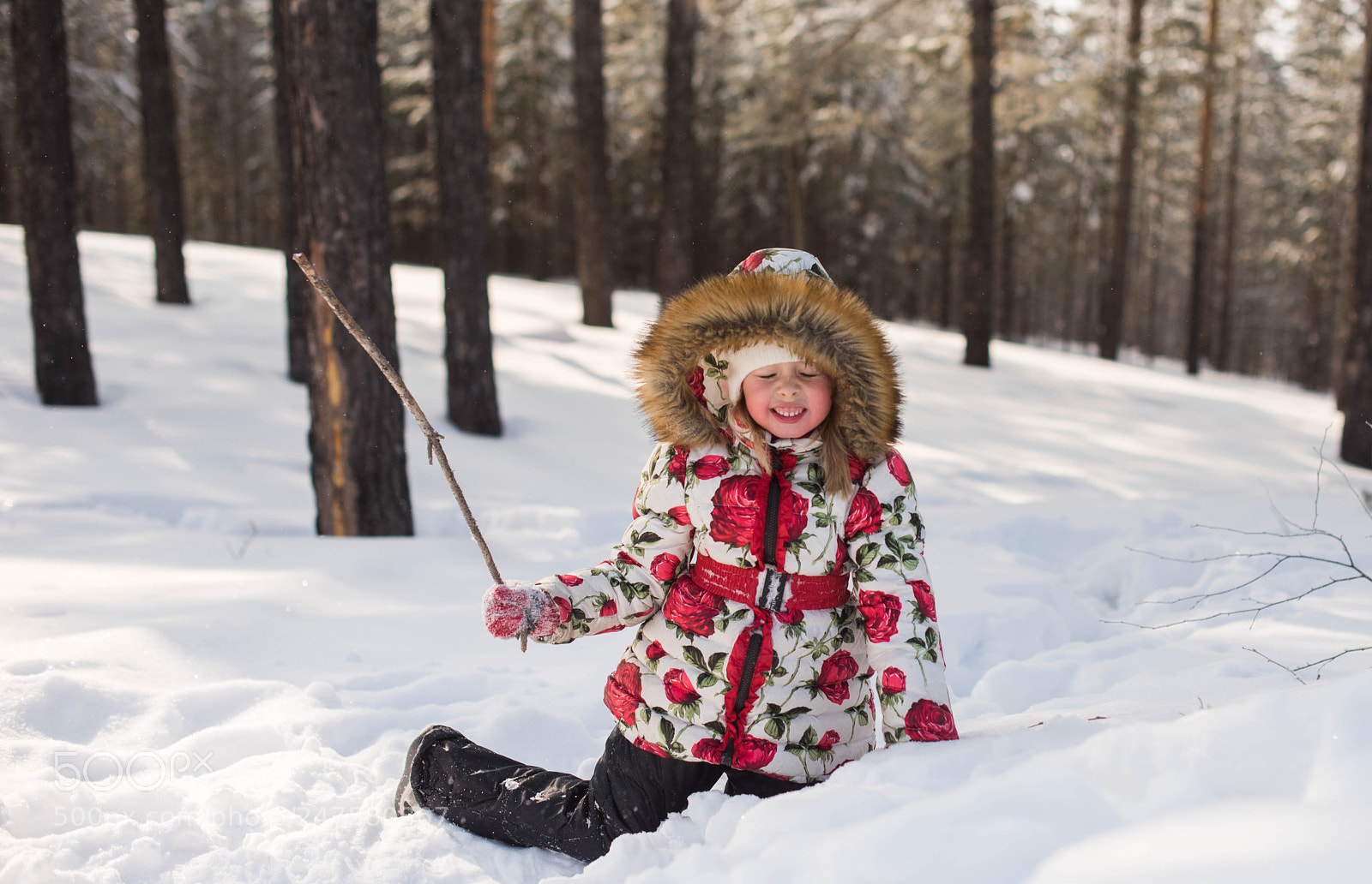 Nikon D810 sample photo. Winter walk photography