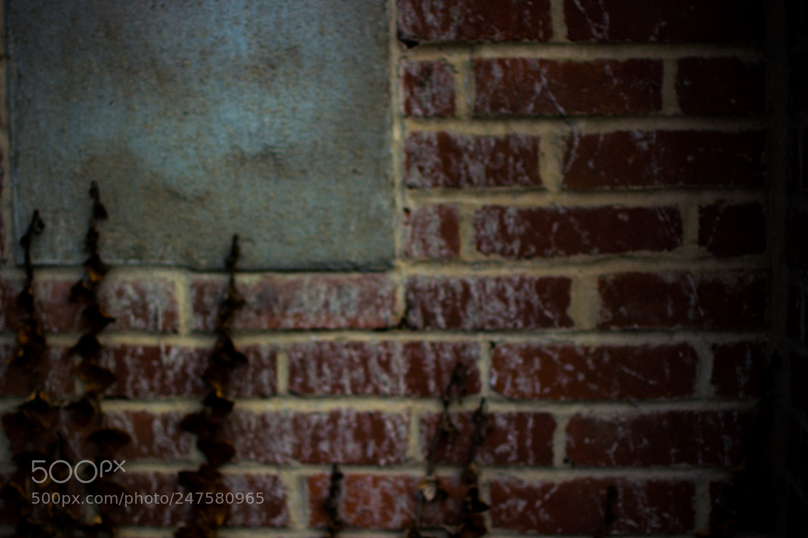 Nikon D5200 sample photo. Usa photography