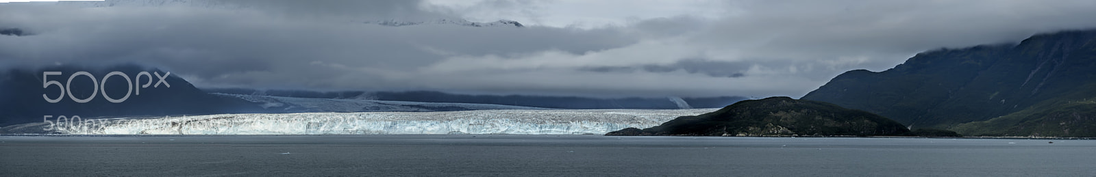 Nikon D810 sample photo. Glacier bay , alaska photography