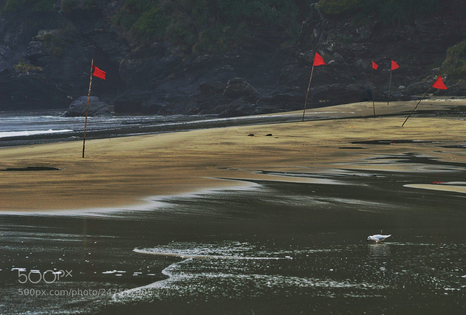Nikon D3200 sample photo. Red flags in maicolpue photography