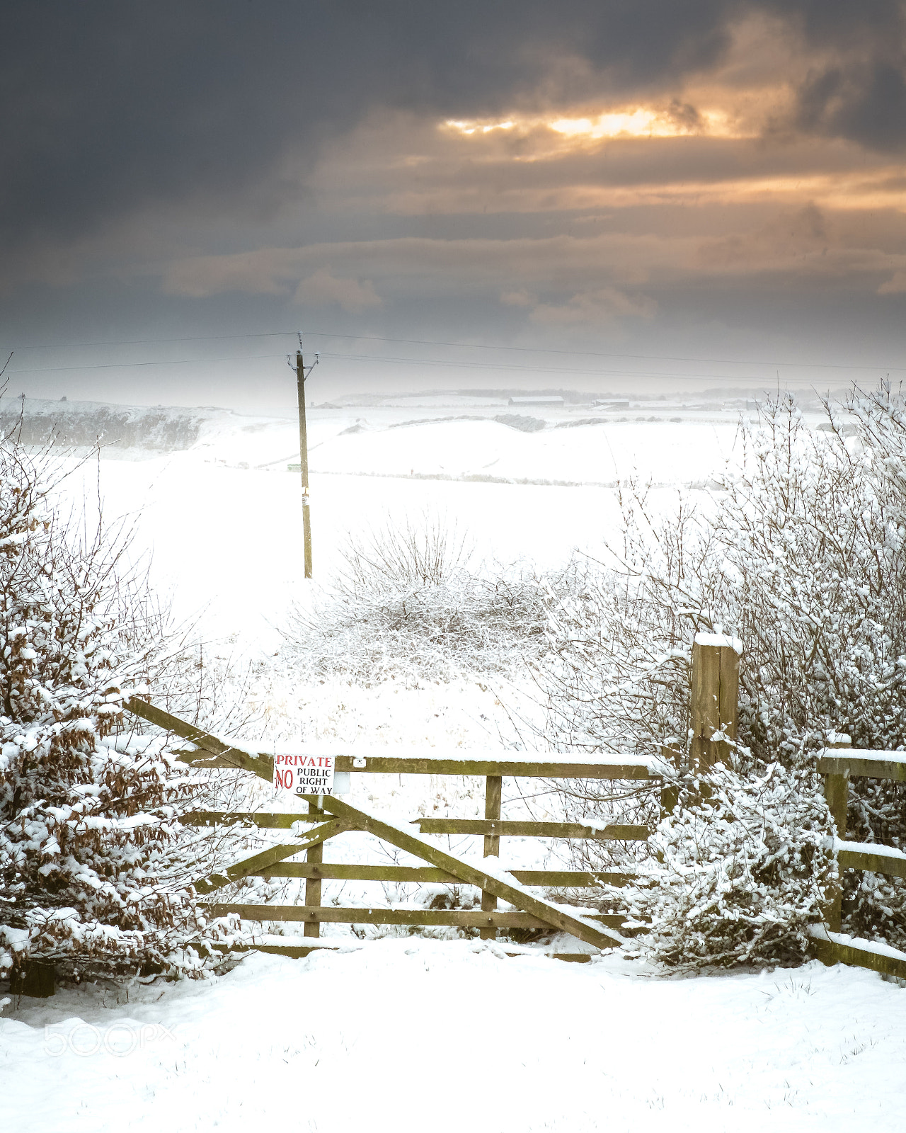 Fujifilm X-T2 sample photo. Winters dawn photography
