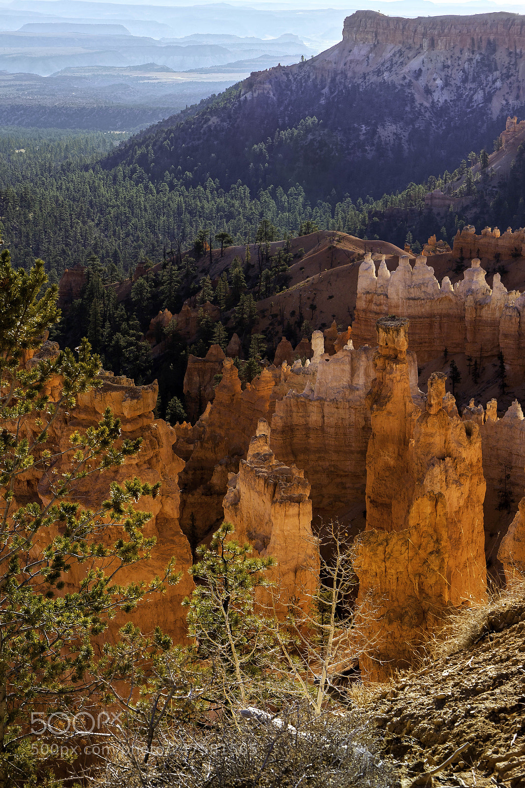Canon EOS 50D sample photo. Scenic view of bryce photography