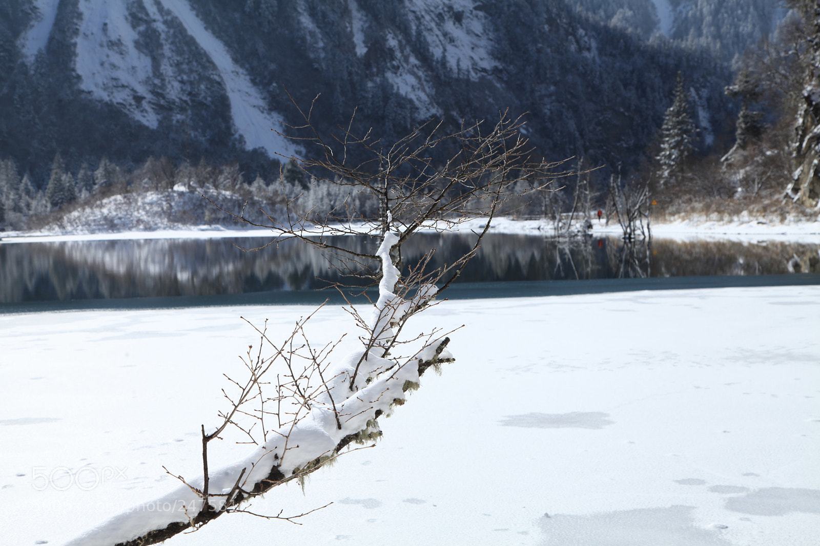 Canon EOS 5D Mark II sample photo. Snow scene in wenchuan photography