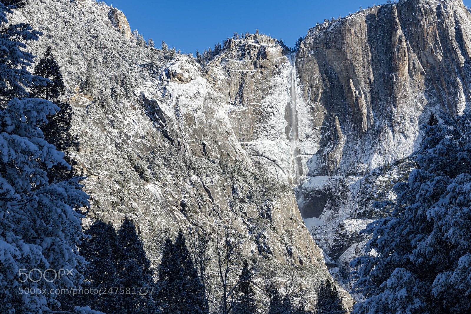 Nikon D850 sample photo. Yosemite falls on a photography