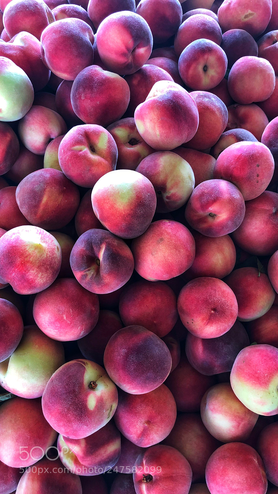 Apple iPhone X sample photo. Red nectarines photography