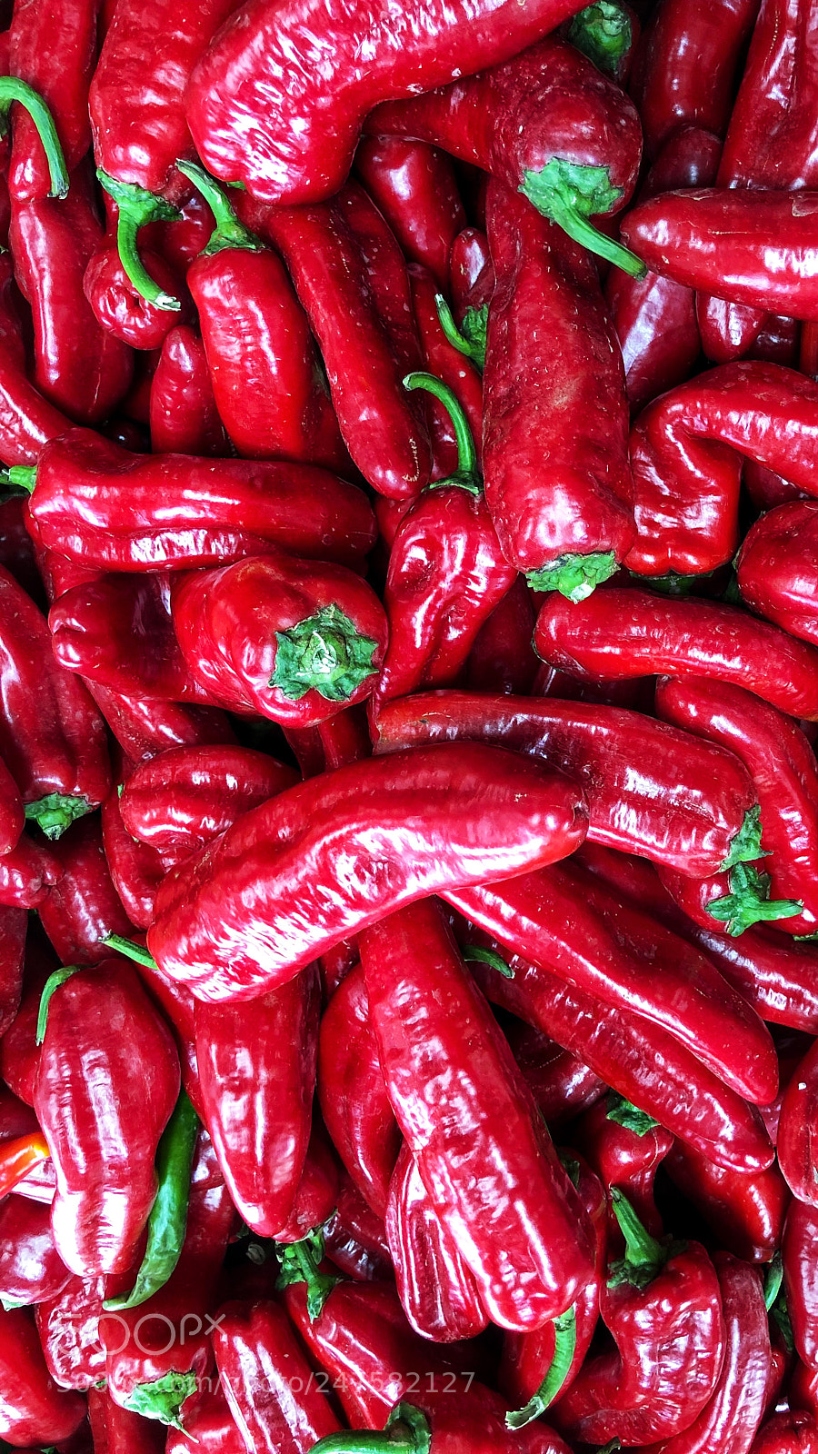 Apple iPhone X sample photo. Red chillies photography