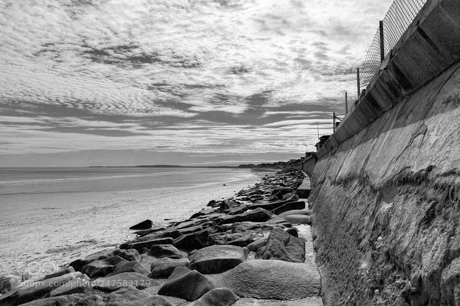 Nikon D810 sample photo. The wall photography