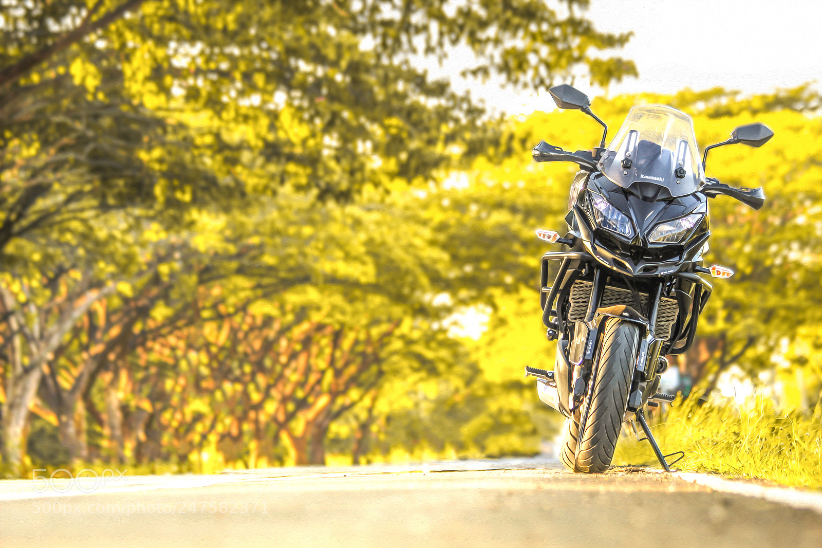 Canon EOS 550D (EOS Rebel T2i / EOS Kiss X4) sample photo. Sunshine ride photography
