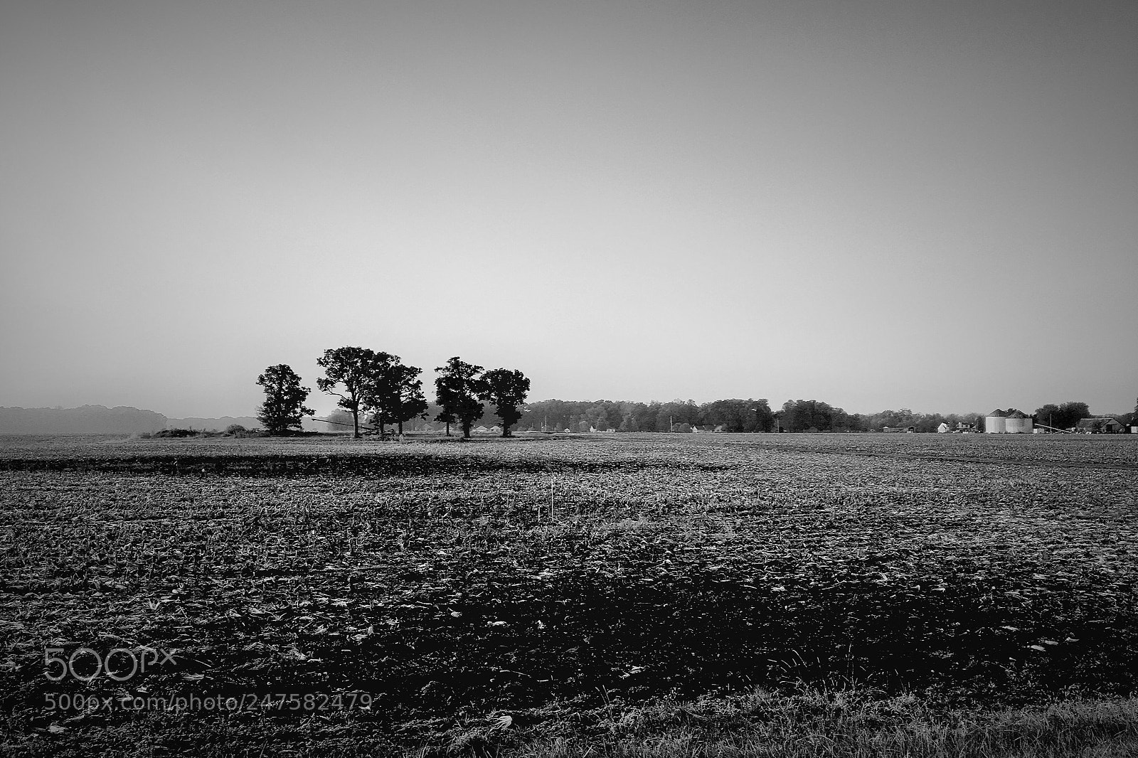 Apple iPhone 6s sample photo. Dormant farm photography