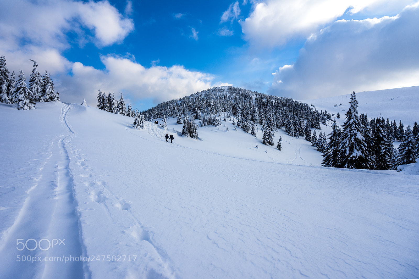 Sony a7 sample photo. Frozen fatra photography