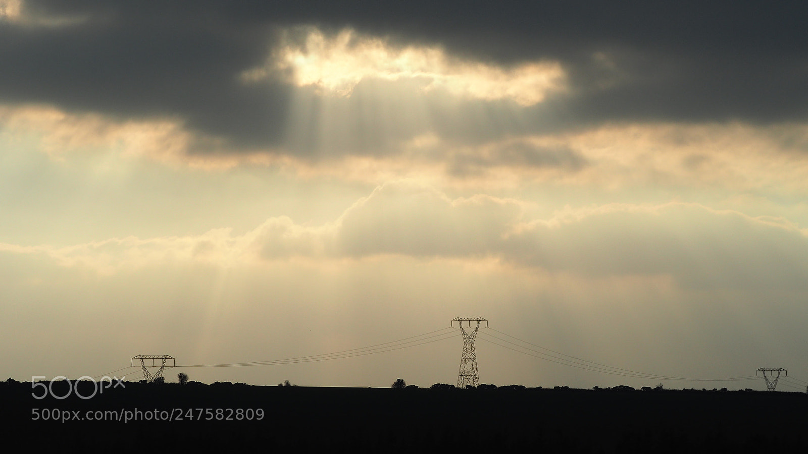 Olympus OM-D E-M5 II sample photo. Light shining down from photography