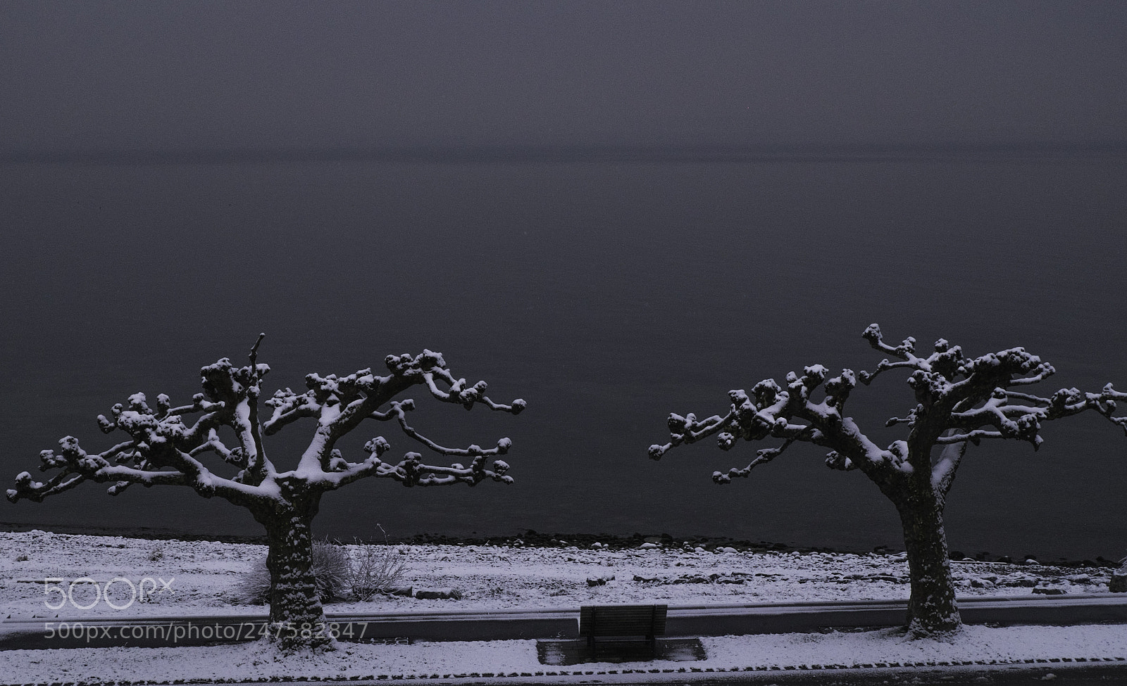 Fujifilm X-T1 sample photo. Schwarzweiss-stimmung photography