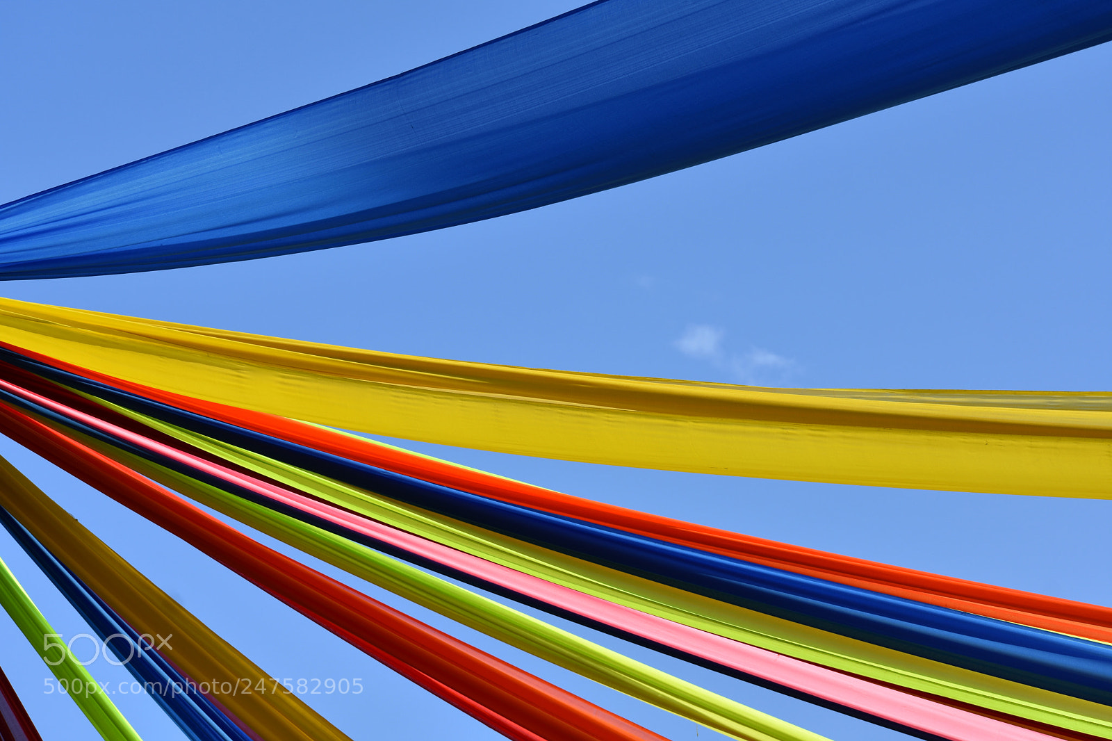 Nikon D3400 sample photo. Colorful background photography