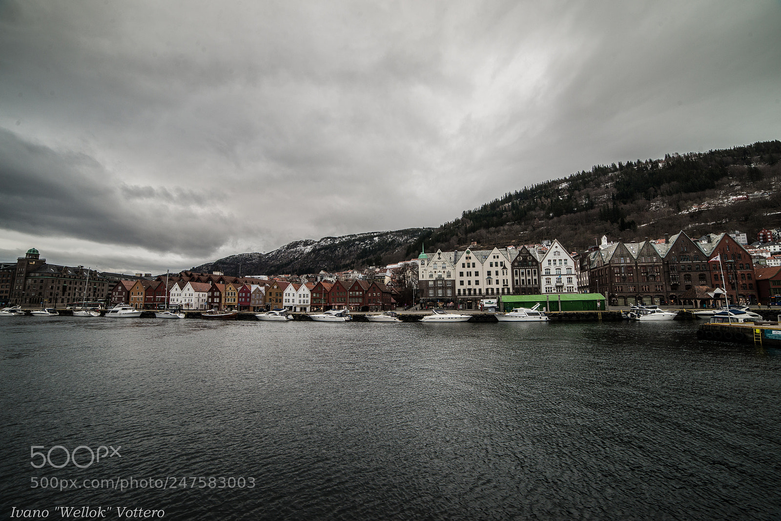 Nikon D800 sample photo. Bergen photography